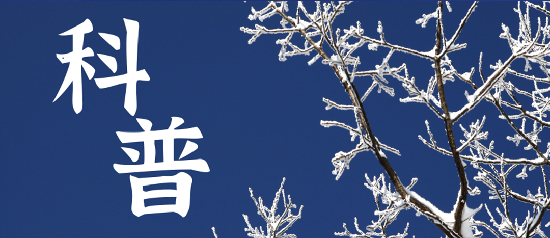 科普 | 冬季雨雪天氣?；愤\輸車輛注意事項