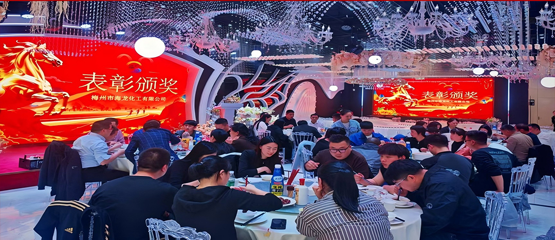 騏驥開道，奮進新篇 | 海龍化工2025年終工作總結表彰暨團年晚宴圓滿落幕